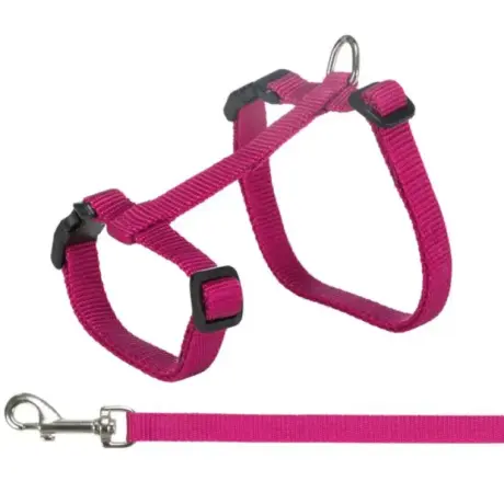 Petnešos katėms su pavadėliu – Trixie Harness XL with Lead