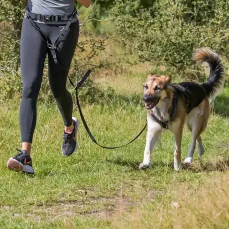 ėgimo pavadėlis – Trixie Waist Belt with Leash, platus, paminkštintas neoprenu