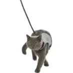 Minkštos petnešos-liemenė katėms su pavadėliu – Trixie Soft Harness with Lead for Cats