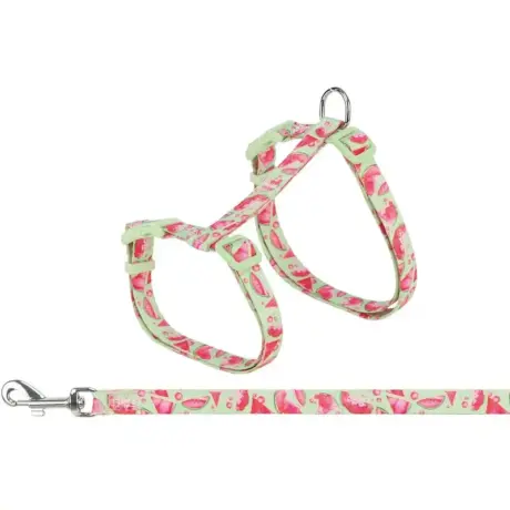 Petnešos katėms su pavadėliu – Trixie Cat Harness with Lead, Flower Power