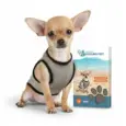 product Vėsinanti liemenė šunims „Coolpets“1