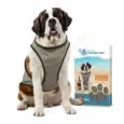 product Vėsinanti liemenė šunims „Coolpets“2