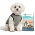 product Vėsinanti liemenė šunims „Coolpets“3